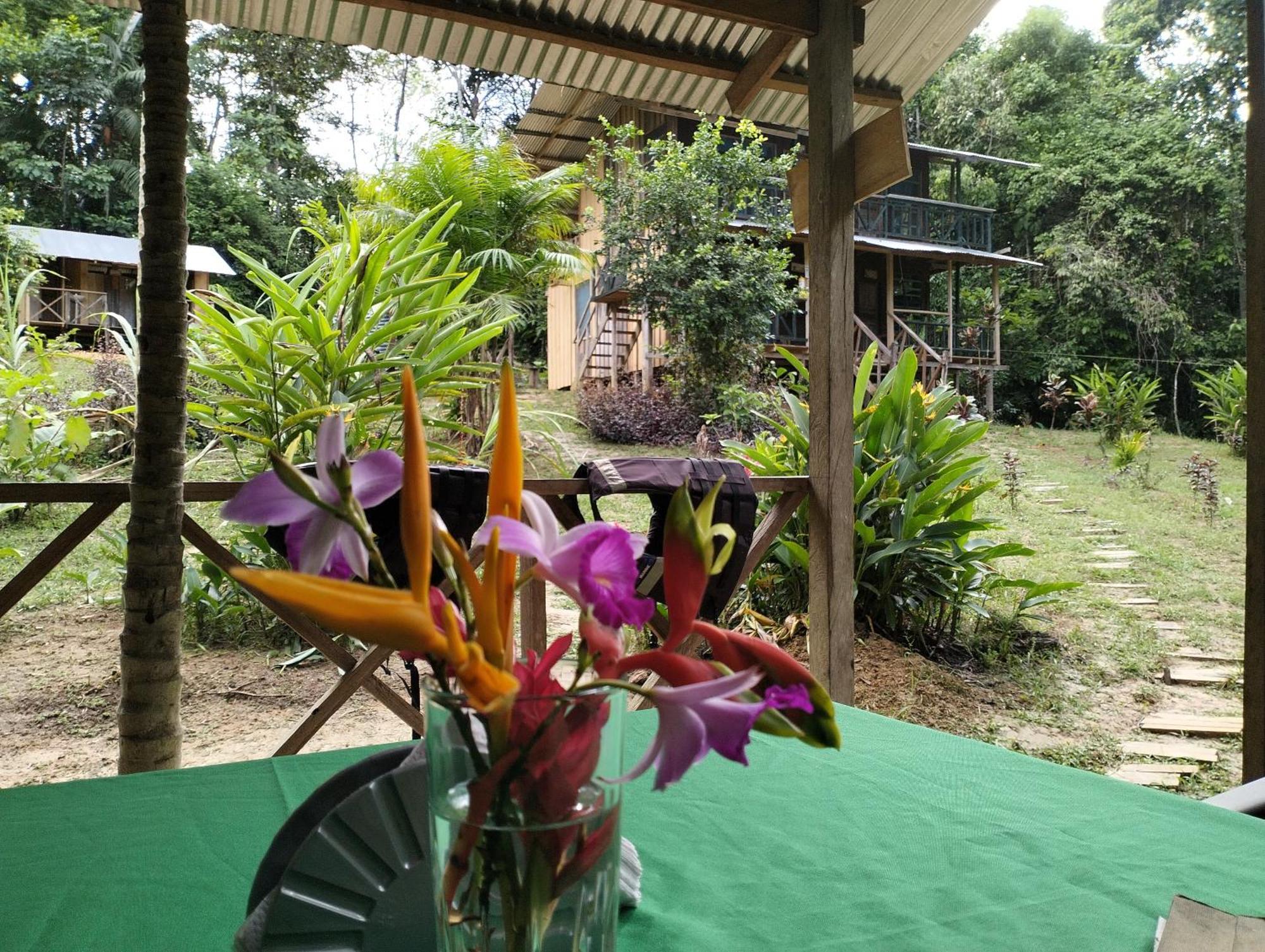 Cabañas eco lógicas mu'ü Loreto Mocagua Exterior foto