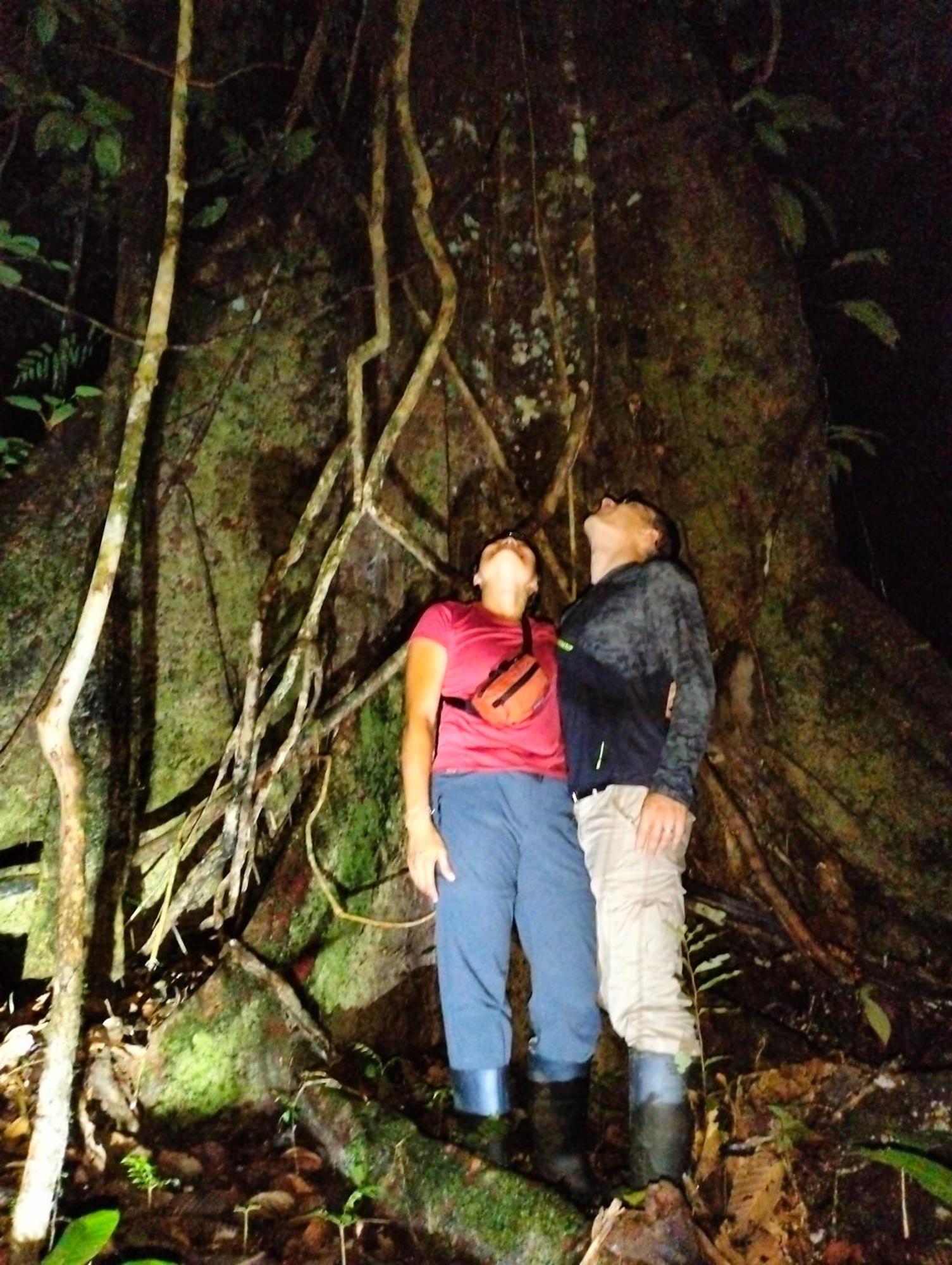Cabañas eco lógicas mu'ü Loreto Mocagua Exterior foto